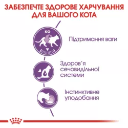 Royal Canin Sterilised Jelly 0.085 кг | Влажный Корм для стерилизованных котов в Желе