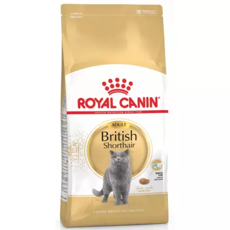 Замовити British Shorthair Adult 4 кг Royal Canin | Знижка до 23% | Відправка з Києва по Україні