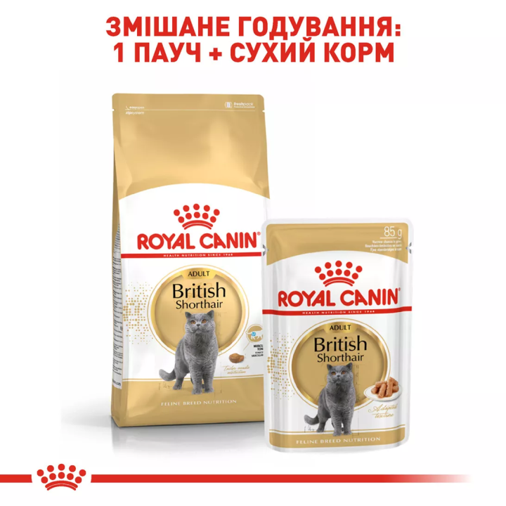 Замовити British Shorthair Adult 4 кг Royal Canin | Знижка до 23% | Відправка з Києва по Україні