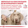 Замовити Hypoallergenic Dog 14 кг Royal Canin | Знижка до 23% | Відправка з Києва по Україні