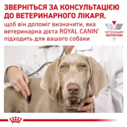 Royal Canin Hypoallergenic Сухий корм для собак 2 кг