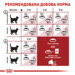 Royal Canin Fit 32 Повнораціонний сухий корм для дорослих котів 0,4 кг