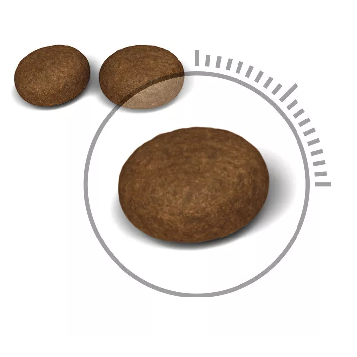 Замовити Hair And Skin Care 0.4 кг Royal Canin | Знижка до 23% | Відправка з Києва по Україні