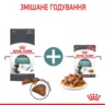 Замовити Hairball Care 2 кг Royal Canin | Знижка до 23% | Відправка з Києва по Україні