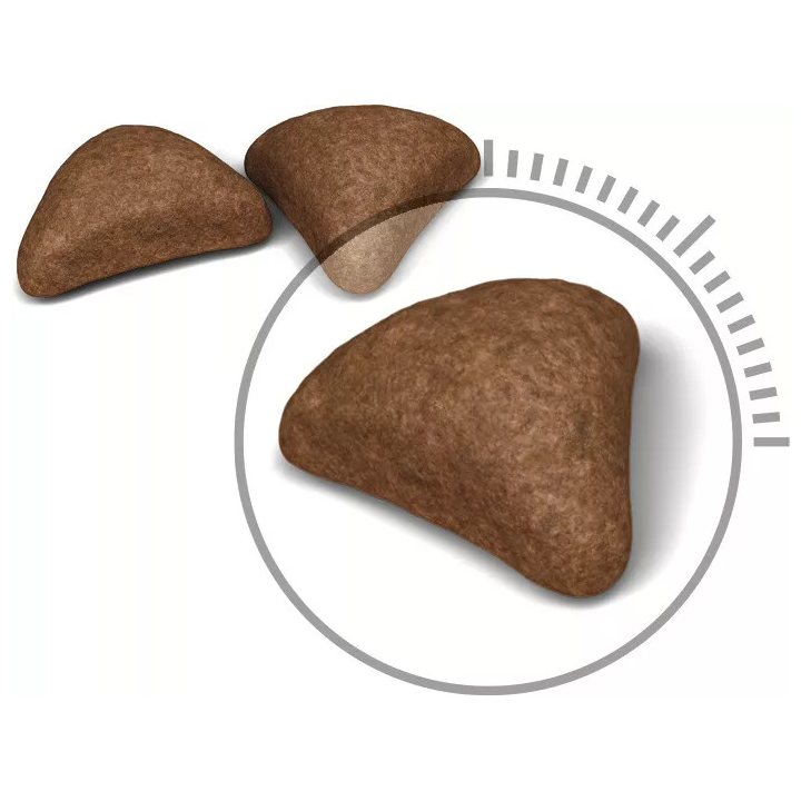 Замовити Hairball Care 0.4 кг Royal Canin | Знижка до 23% | Відправка з Києва по Україні