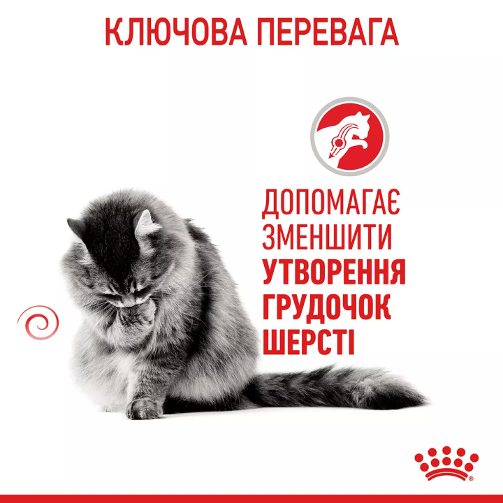 Замовити Hairball Care 0.4 кг Royal Canin | Знижка до 23% | Відправка з Києва по Україні