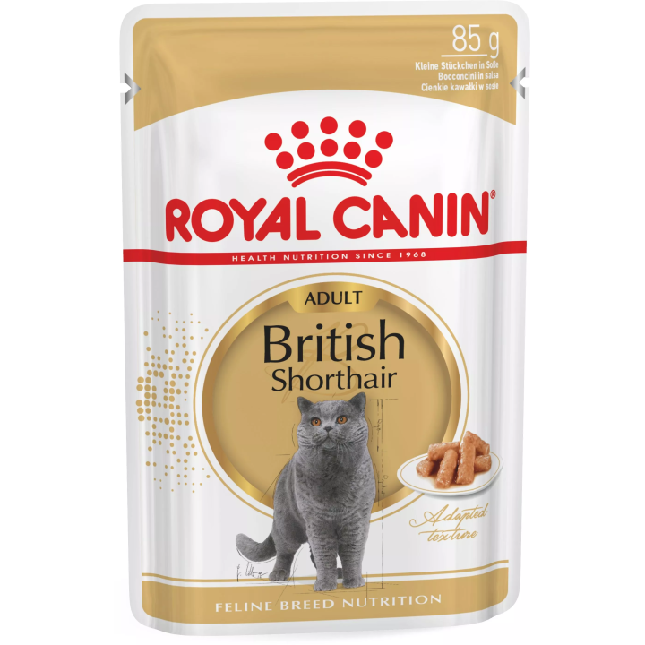 Замовити British Shorthair Adult 0.085 кг Royal Canin | Знижка до 23% | Відправка з Києва по Україні