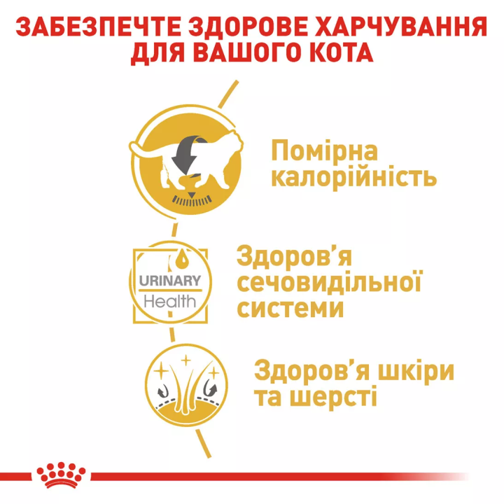Замовити British Shorthair Adult 0.085 кг Royal Canin | Знижка до 23% | Відправка з Києва по Україні