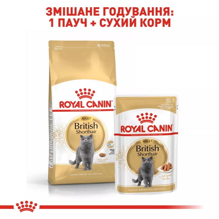 Замовити British Shorthair Adult 0.085 кг Royal Canin | Знижка до 23% | Відправка з Києва по Україні