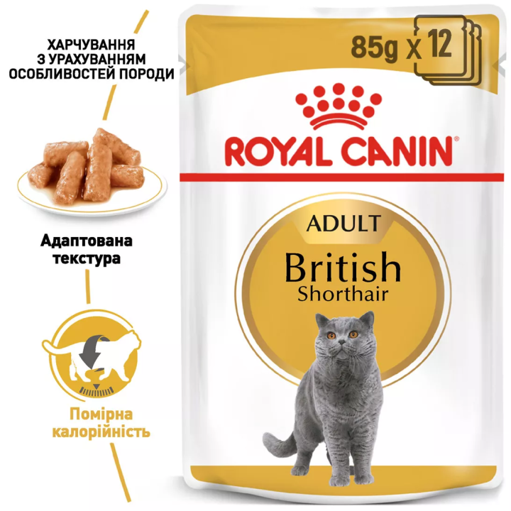 Замовити British Shorthair Adult 0.085 кг Royal Canin | Знижка до 23% | Відправка з Києва по Україні