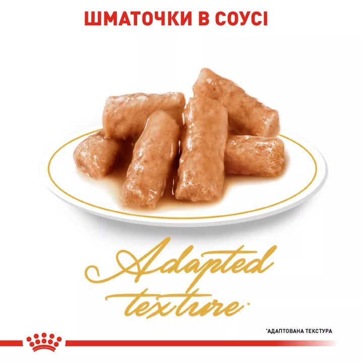 Замовити British Shorthair Adult 0.085 кг Royal Canin | Знижка до 23% | Відправка з Києва по Україні