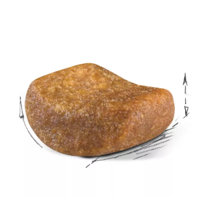 Замовити British Shorthair Adult 10 кг Royal Canin | Знижка до 23% | Відправка з Києва по Україні