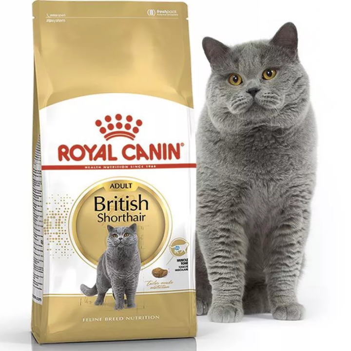 Замовити British Shorthair Adult 10 кг Royal Canin | Знижка до 23% | Відправка з Києва по Україні
