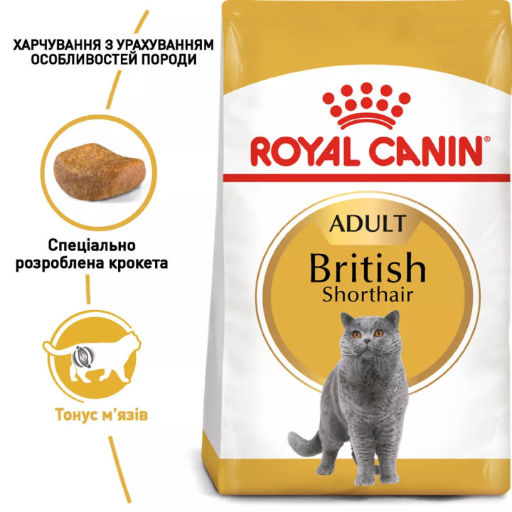 Замовити British Shorthair Adult 10 кг Royal Canin | Знижка до 23% | Відправка з Києва по Україні