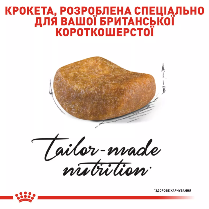 Замовити British Shorthair Adult 10 кг Royal Canin | Знижка до 23% | Відправка з Києва по Україні
