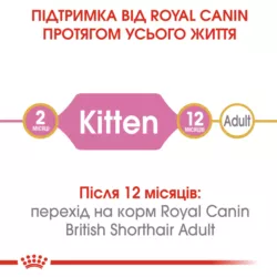 Замовити British Shorthair Kitten 0.4 кг Royal Canin | Знижка до 23% | Відправка з Києва по Україні