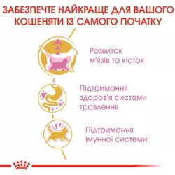 Замовити British Shorthair Kitten 0.4 кг Royal Canin | Знижка до 23% | Відправка з Києва по Україні