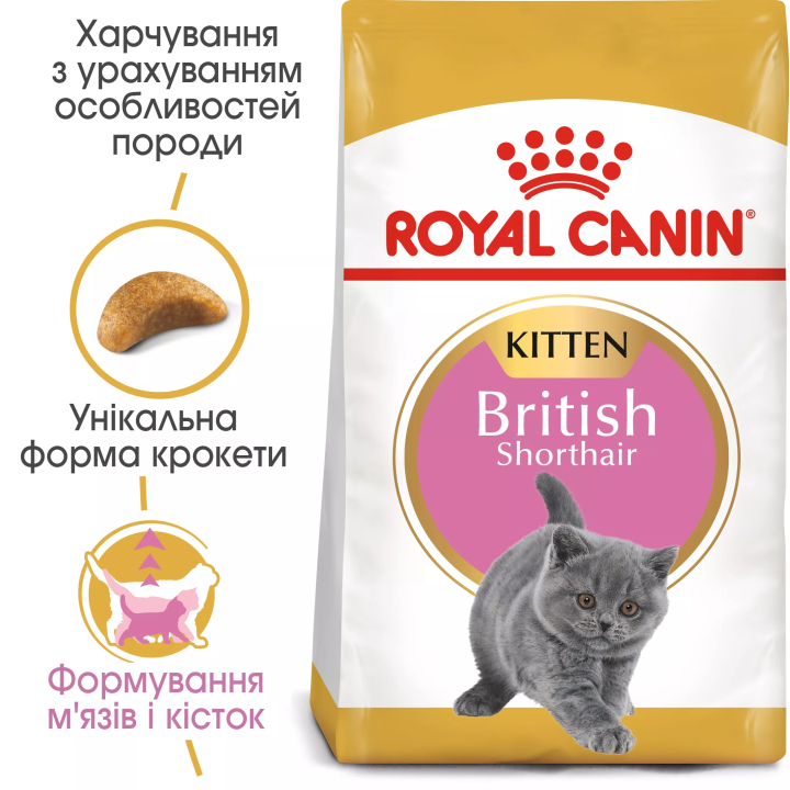 Замовити British Shorthair Kitten 10 кг Royal Canin | Знижка до 23% | Відправка з Києва по Україні