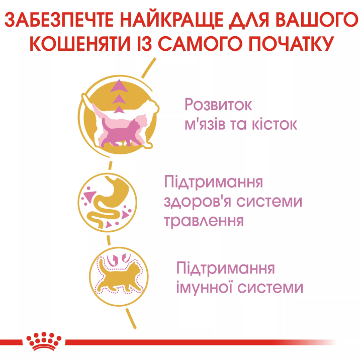Замовити British Shorthair Kitten 10 кг Royal Canin | Знижка до 23% | Відправка з Києва по Україні