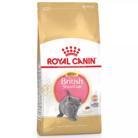 British Shorthair Kitten 2 кг | Royal Canin | Сухий Корм Для Кошенят Британська Короткошерста