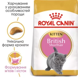 Замовити British Shorthair Kitten 2 кг Royal Canin | Знижка до 23% | Відправка з Києва по Україні