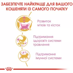 Замовити British Shorthair Kitten 2 кг Royal Canin | Знижка до 23% | Відправка з Києва по Україні