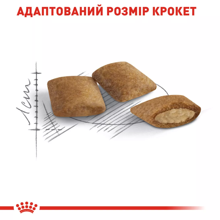 Замовити Ageing 12+ (2 кг) Royal Canin | Знижка до 23% | Відправка з Києва по Україні