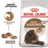 Royal Canin Ageing 12+ Сухий корм для котів старших 12 років 2 кг
