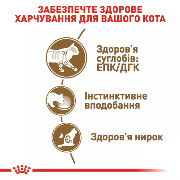 Замовити Ageing 12+ (0.085 кг) Royal Canin | Знижка до 23% | Відправка з Києва по Україні