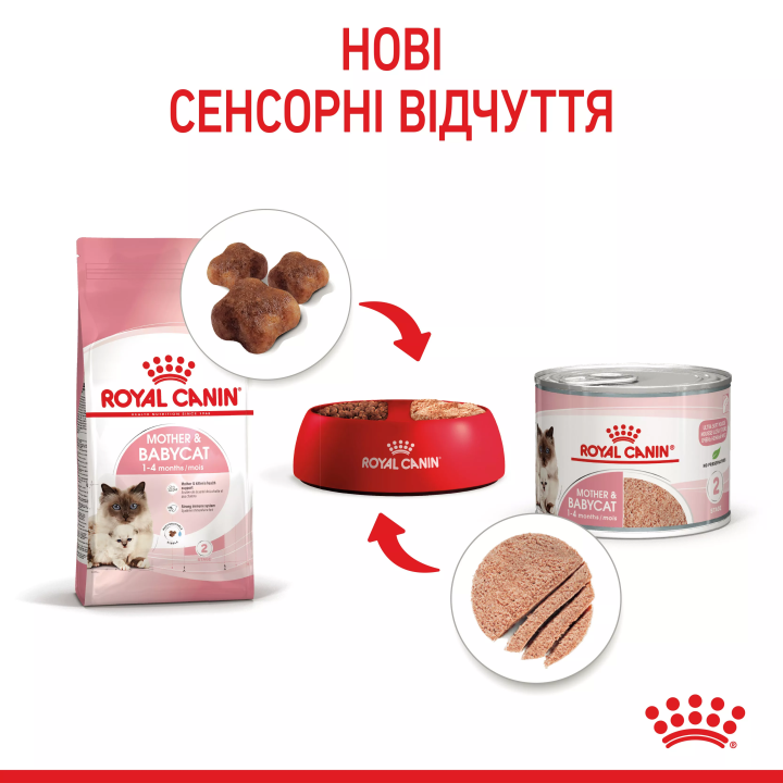 Замовити Mother & Babycat Ultra Soft Mousse 0.195 кг Royal Canin | Знижка до 23% | Відправка з Києва по Україні