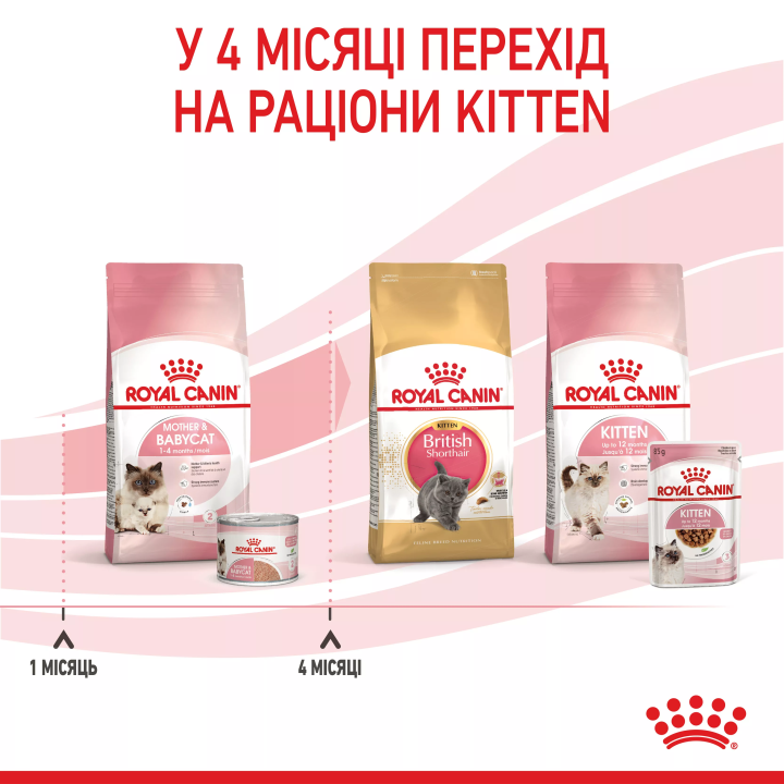 Замовити Mother & Babycat Ultra Soft Mousse 0.195 кг Royal Canin | Знижка до 23% | Відправка з Києва по Україні