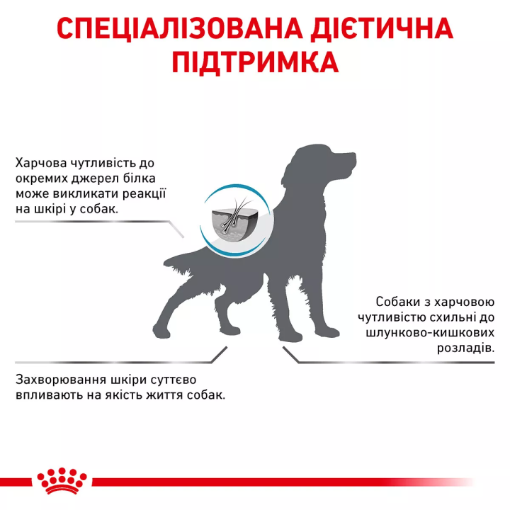 Замовити Anallergenic Dog 8 кг Royal Canin | Знижка до 23% | Відправка з Києва по Україні