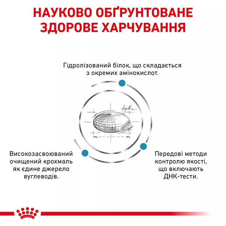 Замовити Anallergenic Dog 8 кг Royal Canin | Знижка до 23% | Відправка з Києва по Україні