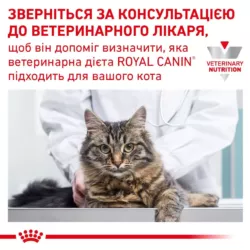Royal Canin Anallergenic Cat Сухий корм для котів 2 кг