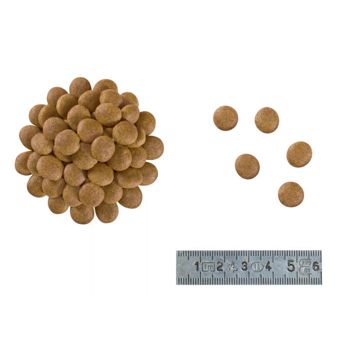 Замовити Anallergenic Cat 2 кг Royal Canin | Знижка до 23% | Відправка з Києва по Україні