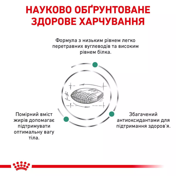 ROYAL CANIN DIABETIC CAT 0.4 кг - Корм для котів при діабеті | ZooOpt