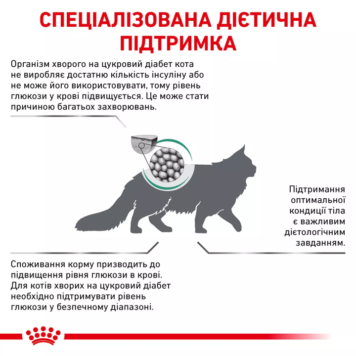 ROYAL CANIN DIABETIC CAT - Корм для котів при діабеті | ZooOpt