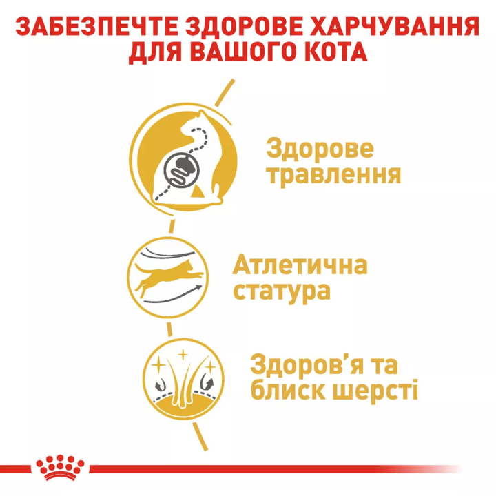 Замовити Bengal Adult 2 кг Royal Canin | Знижка до 23% | Відправка з Києва по Україні