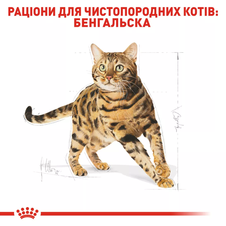 Замовити Bengal Adult 2 кг Royal Canin | Знижка до 23% | Відправка з Києва по Україні