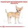 Royal Canin Chihuahua Adult Сухий корм для собак 0.5 кг