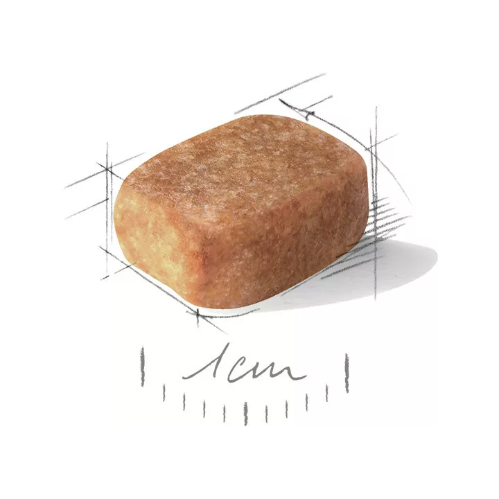 Замовити Chihuahua Adult 1.5 кг Royal Canin | Знижка до 23% | Відправка з Києва по Україні