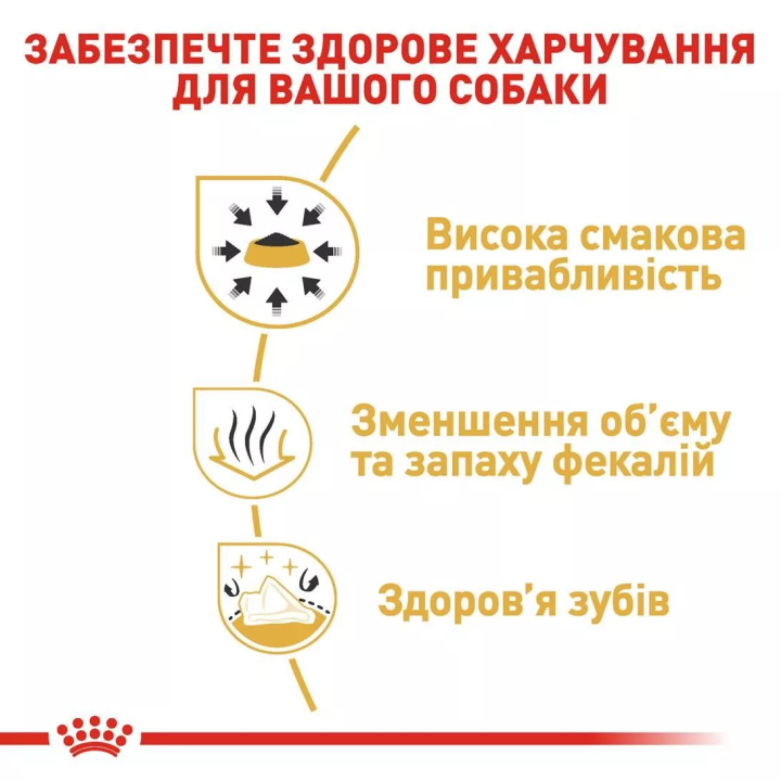 Замовити Chihuahua Adult 1.5 кг Royal Canin | Знижка до 23% | Відправка з Києва по Україні