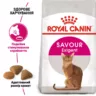 Сухий корм Royal Canin Savour Exigent для вибагливих котів 10 кг