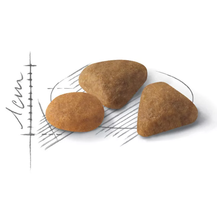 Замовити Exigent Savour 4 кг Royal Canin | Знижка до 23% | Відправка з Києва по Україні