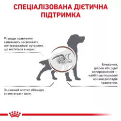 Gastrointestinal 2 кг | Royal Canin | Сухий Корм Для Собак з підтримкою травної системи