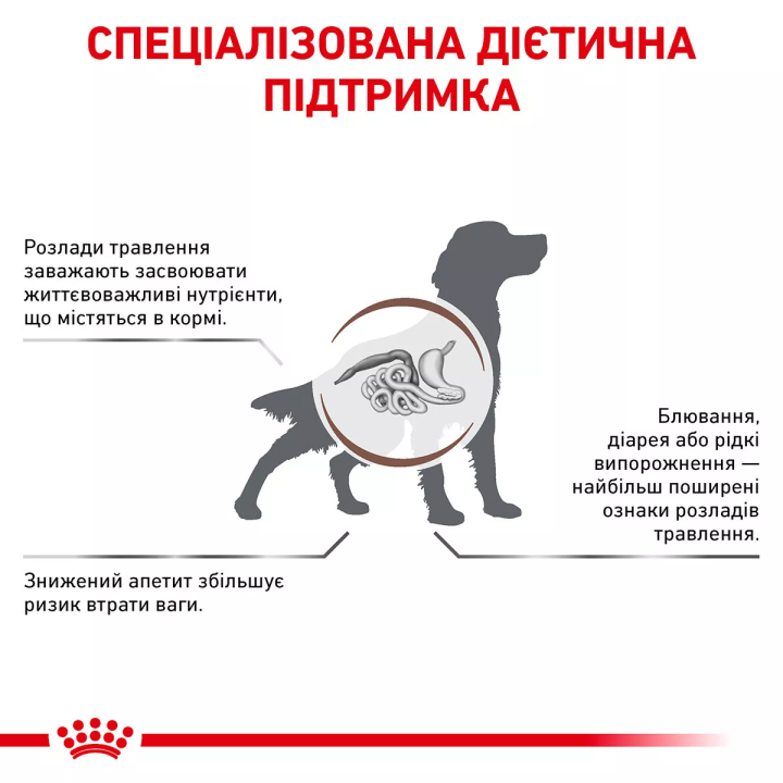 Замовити Gastrointestinal Dog 2 кг Royal Canin | Знижка до 23% | Відправка з Києва по Україні