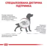 Royal Canin Gastrointestinal Dog 15 кг | Сухий Корм для собак з підтримкою травної системи