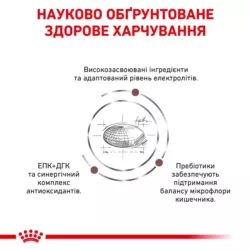 Royal Canin Gastrointestinal Dog 15 кг | Сухий Корм для собак з підтримкою травної системи