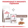 Royal Canin Gastrointestinal Dog 15 кг | Сухий Корм для собак з підтримкою травної системи