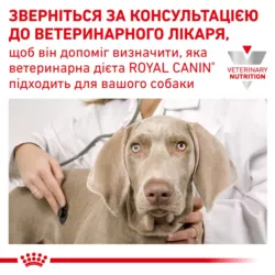 Паштет Royal Canin Gastrointestinal Low Fat для собак – купити роял канин лоу фэт онлайн